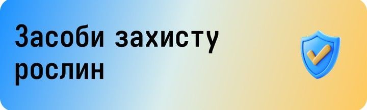 Banner from design