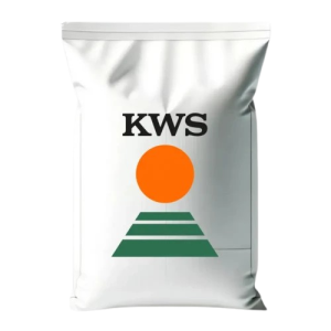 Озима пшениця Кубус 133114-3 фото