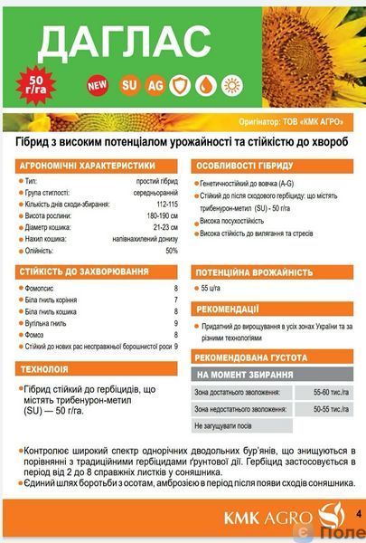 Насіння соняшника Даглас 773557-3 фото