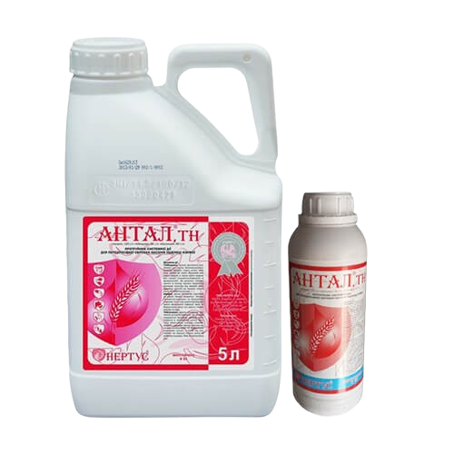 Протруйник Антал
