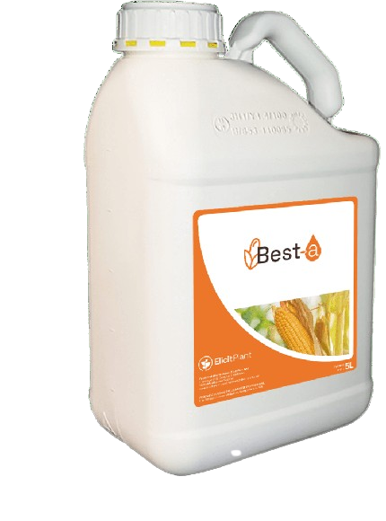 Біостимулятор Best-a знижує водний стрес для кукурудзи