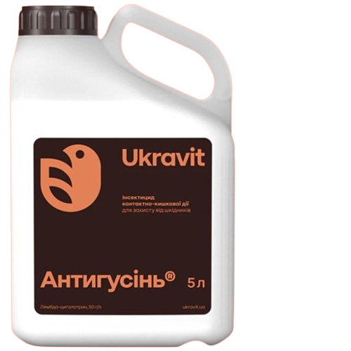 Інсектицид Антигусінь