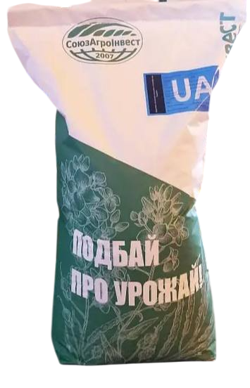 Насіння озимого ріпаку Чорний Велетень